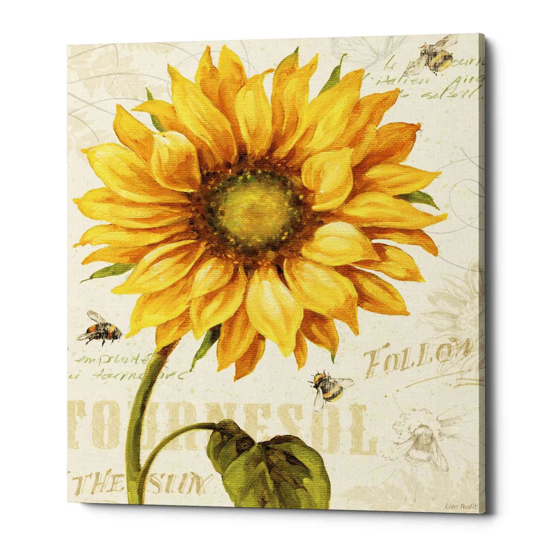 'Under The Sun I' by Lisa Audit, Canvas Wall Art,