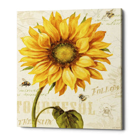 'Under The Sun I' by Lisa Audit, Canvas Wall Art,