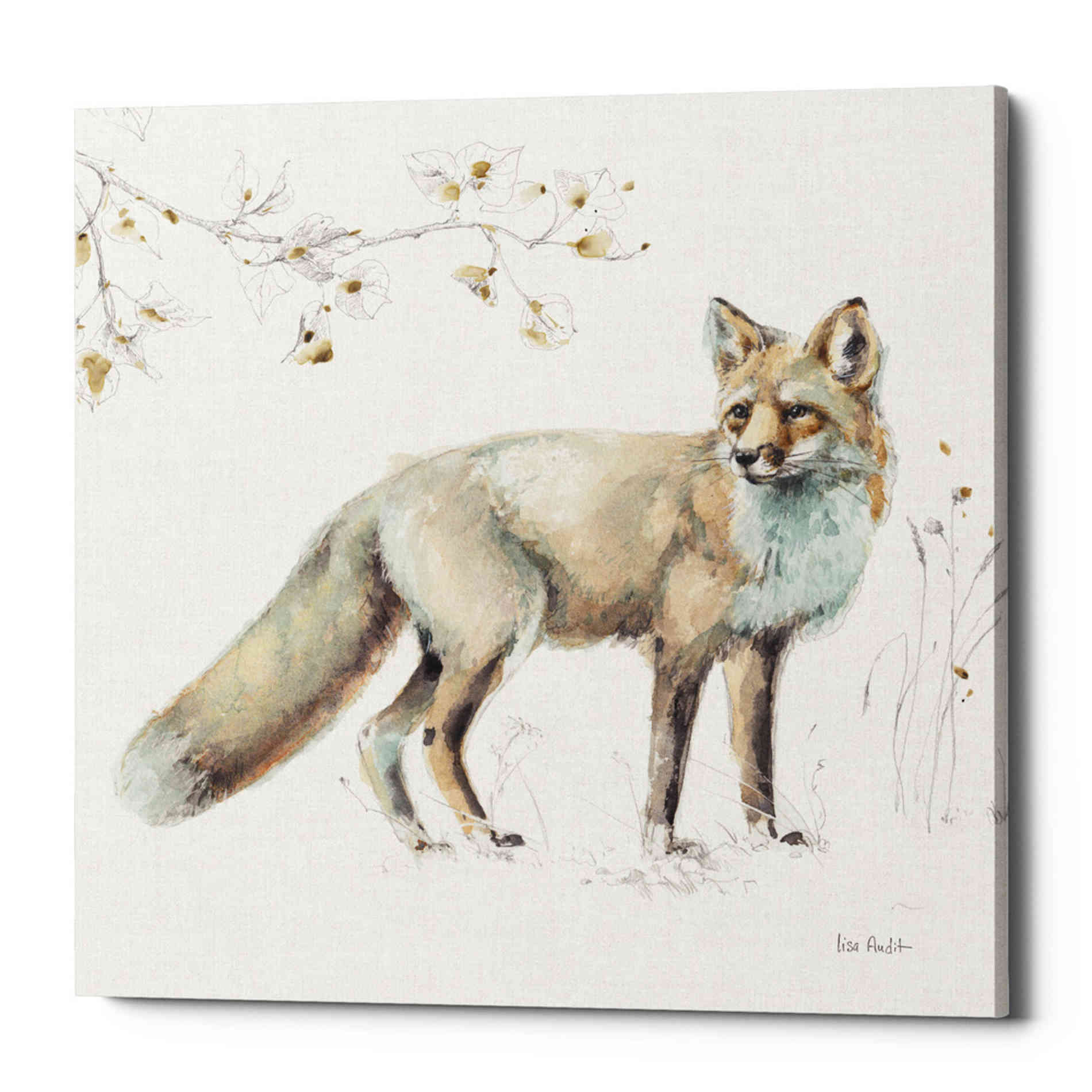 'Woodland Walk XI' by Lisa Audit, Canvas Wall Art,