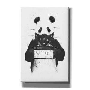 'Bad Panda' by Balazs Solti, Giclee Canvas Wall Art