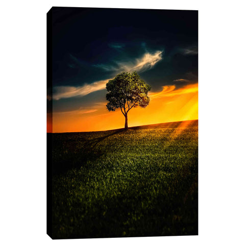 Image of 'Alone In Peace' Canvas Wall Art