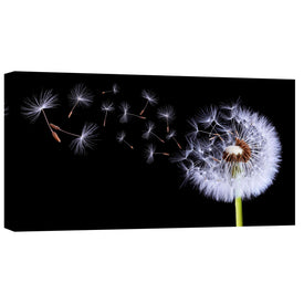 'Flying Dandelion' Canvas Wall Art