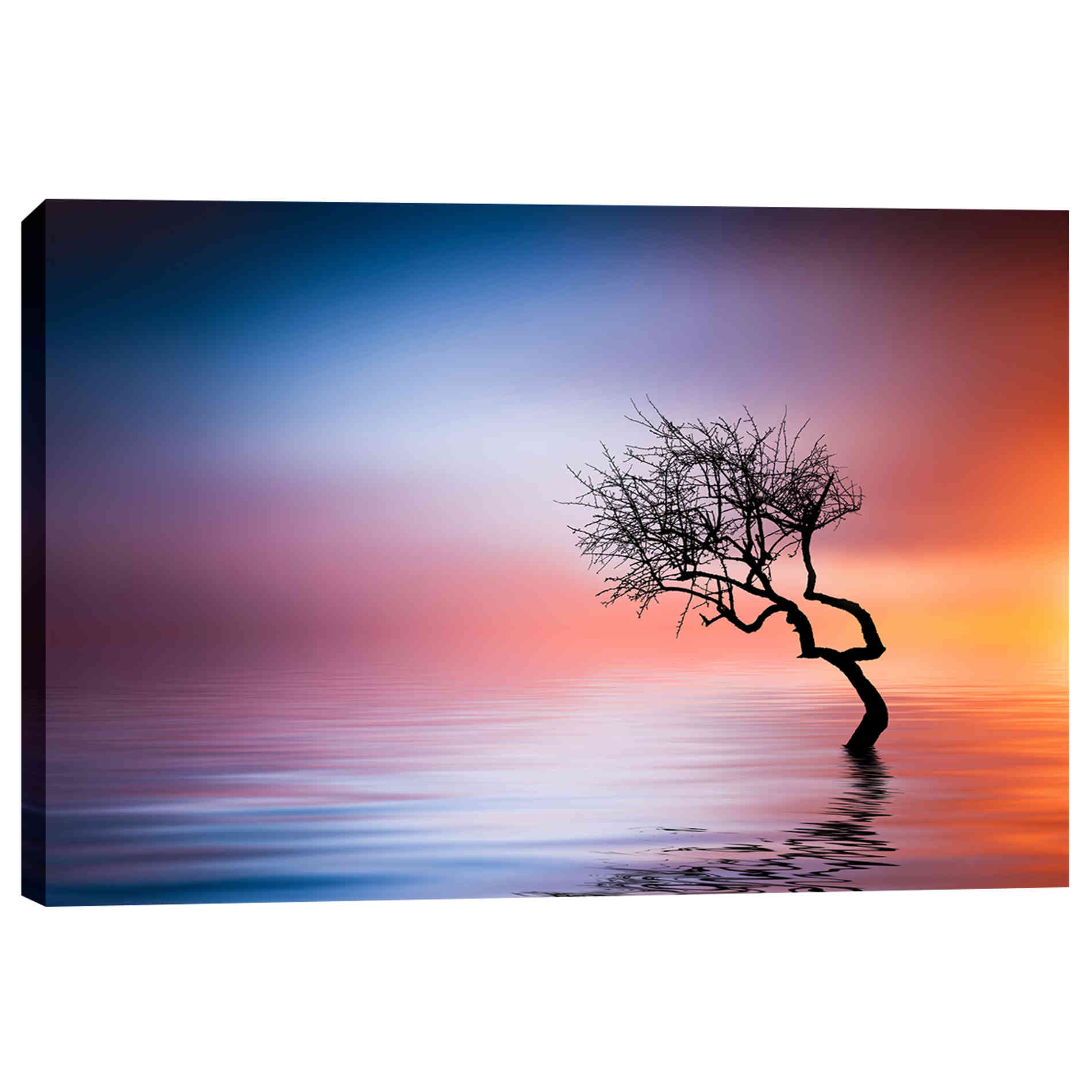 'Growing Reflections' Canvas Wall Art,40 x 60