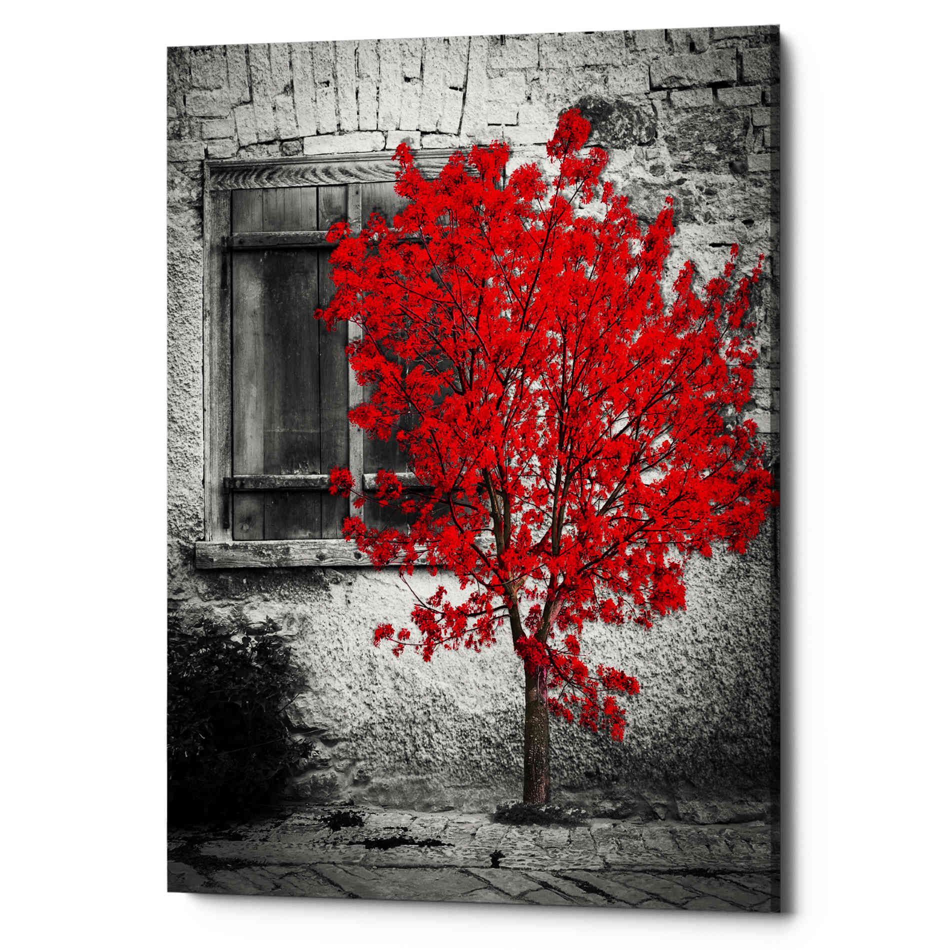 'Passion' Canvas Wall Art
