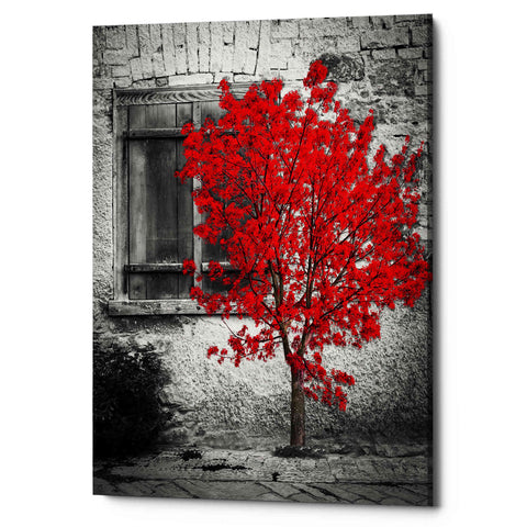 Image of 'Passion' Canvas Wall Art