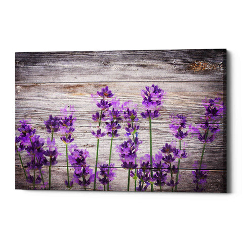 'Serene and Rustic' Canvas Wall Art