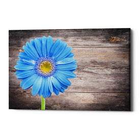 'Serenity' Canvas Wall Art