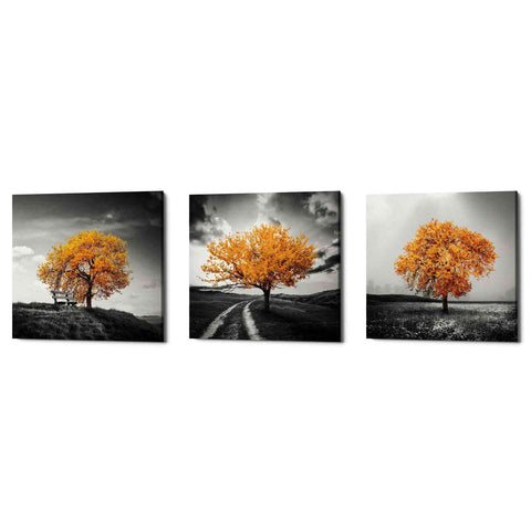 'Vibrant Tree Series: Autumn Triptych (Set of 3)' Canvas Wall Art