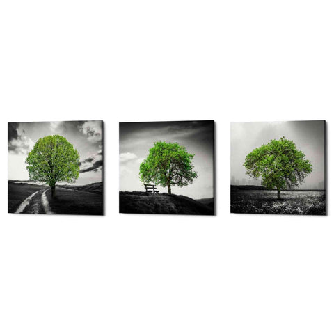 Image of 'Vibrant Tree Series: Green Triptych (Set of 3)' Canvas Wall Art