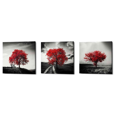 Image of 'Vibrant Tree Series: Ruby Triptych (Set of 3)' Canvas Wall Art