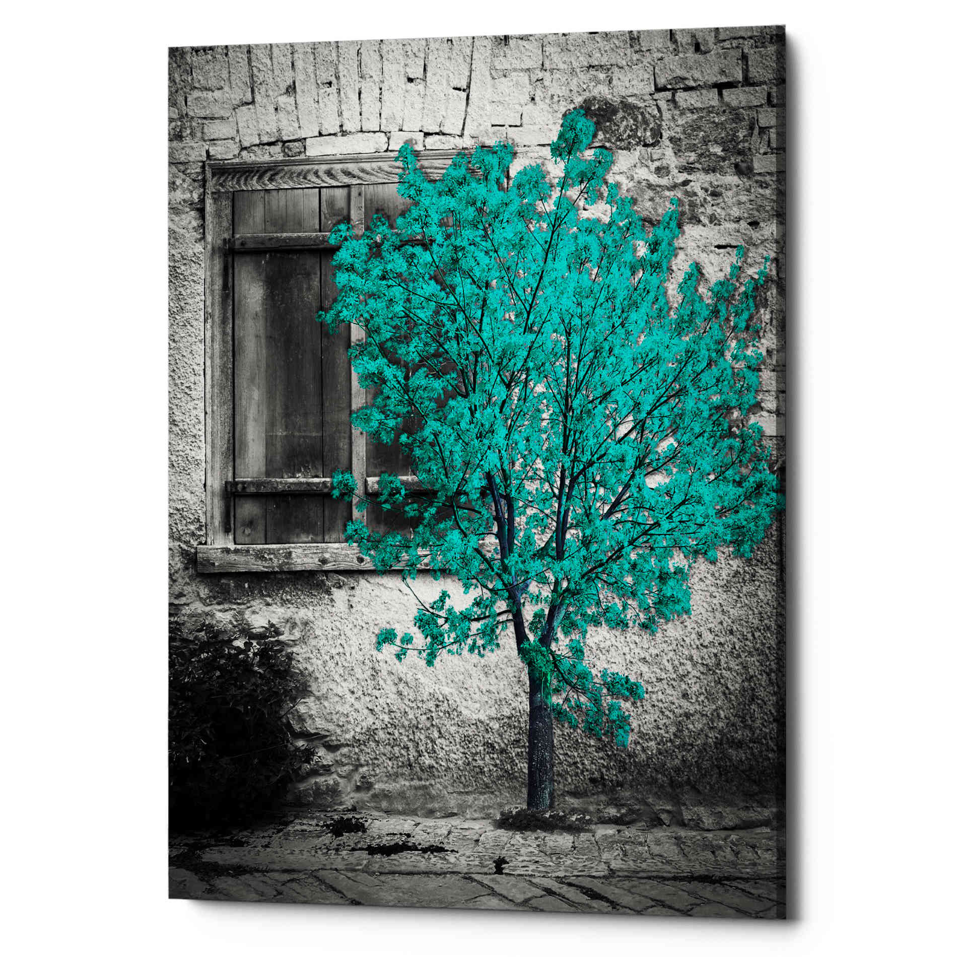 'Wisdom' Canvas Wall Art