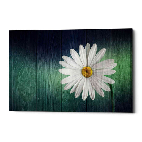 Image of 'Wood Series: A Daisy' Canvas Wall Art
