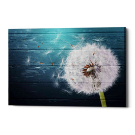 'Wood Series: Dandi Blue' Canvas Wall Art