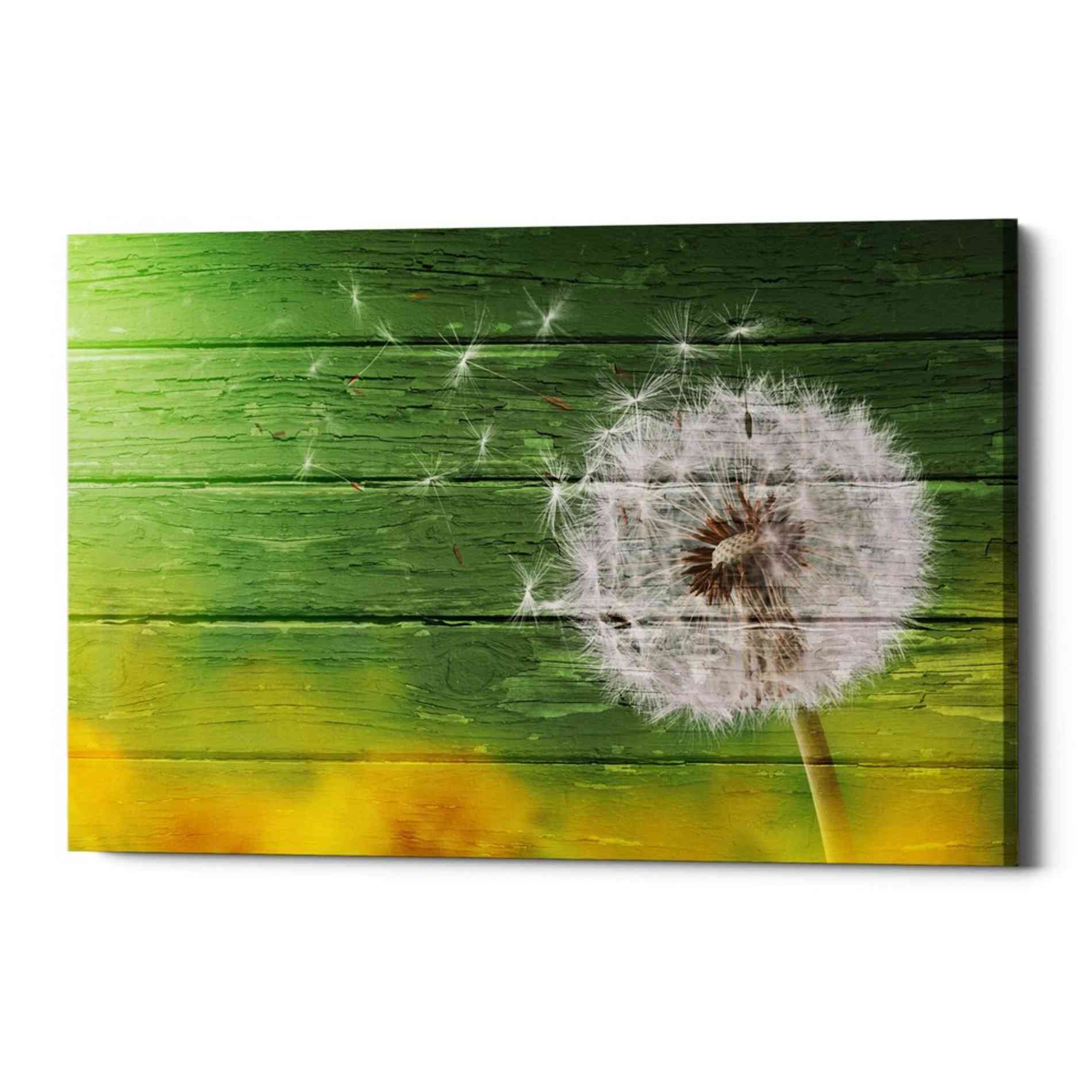 'Wood Series: Dandi Green' Canvas Wall Art