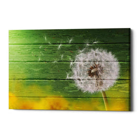 'Wood Series: Dandi Green' Canvas Wall Art