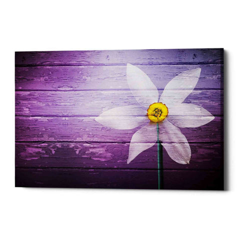 Image of 'Wood Series: A Simple Paradise' Canvas Wall Art