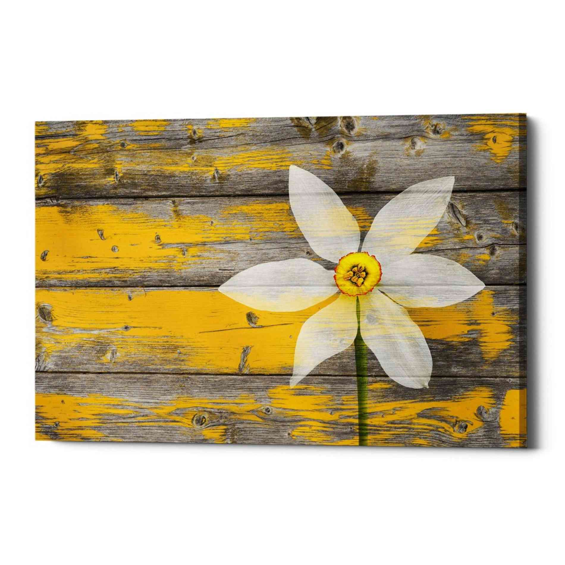 'Wood Series: A Rustic Paradise' Canvas Wall Art