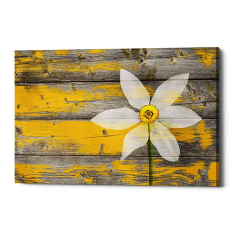 Image of 'Wood Series: A Rustic Paradise' Canvas Wall Art