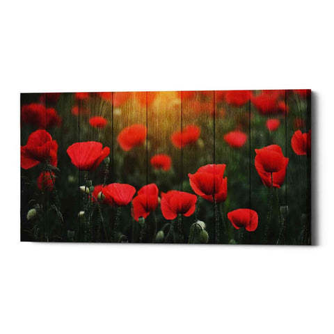 Image of 'Wood Series: Field of Poppies' Canvas Wall Art