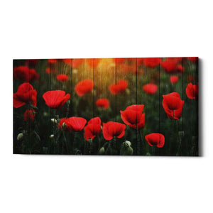'Wood Series: Field of Poppies' Canvas Wall Art