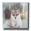 'Enchanted Winter Fox' by Bluebird Barn, Canvas Wall Art,Size 1 Sqaure