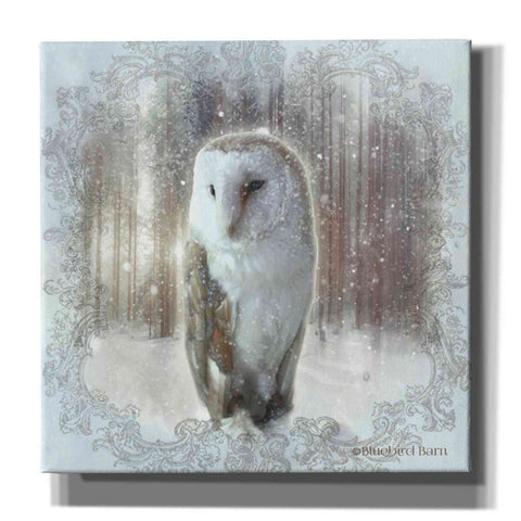 Image of 'Enchanted Winter Owl' by Bluebird Barn, Canvas Wall Art,Size 1 Sqaure