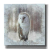 'Enchanted Winter Owl' by Bluebird Barn, Canvas Wall Art,Size 1 Sqaure