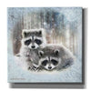 'Enchanted Winter Raccoons' by Bluebird Barn, Canvas Wall Art,Size 1 Sqaure