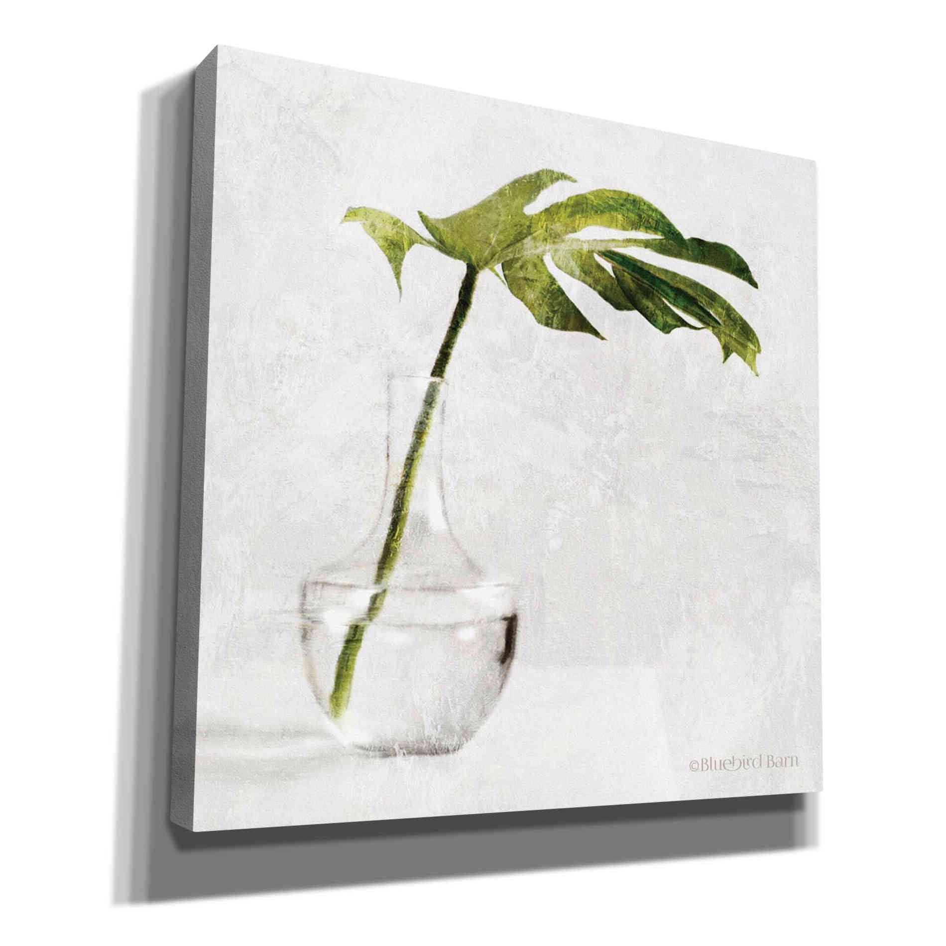 'Single Green Stem in Glass' by Bluebird Barn, Canvas Wall Art,Size 1 Sqaure
