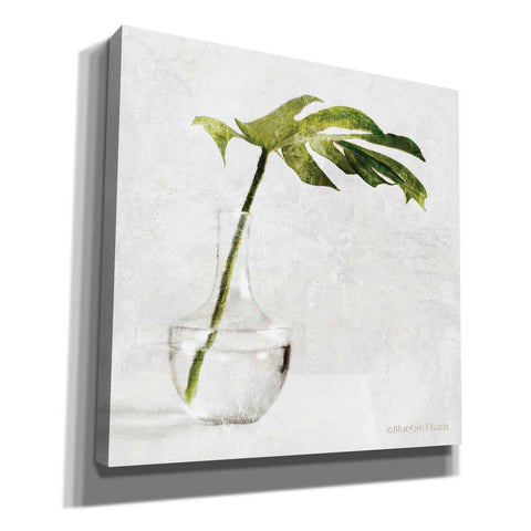 Image of 'Single Green Stem in Glass' by Bluebird Barn, Canvas Wall Art,Size 1 Sqaure