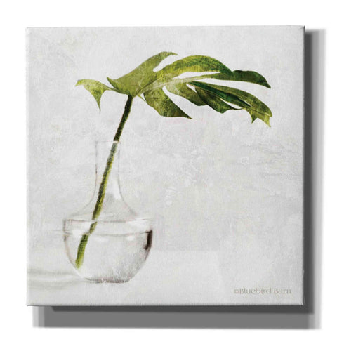 Image of 'Single Green Stem in Glass' by Bluebird Barn, Canvas Wall Art,Size 1 Sqaure