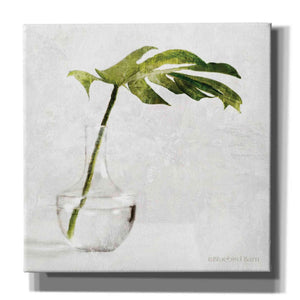 'Single Green Stem in Glass' by Bluebird Barn, Canvas Wall Art,Size 1 Sqaure