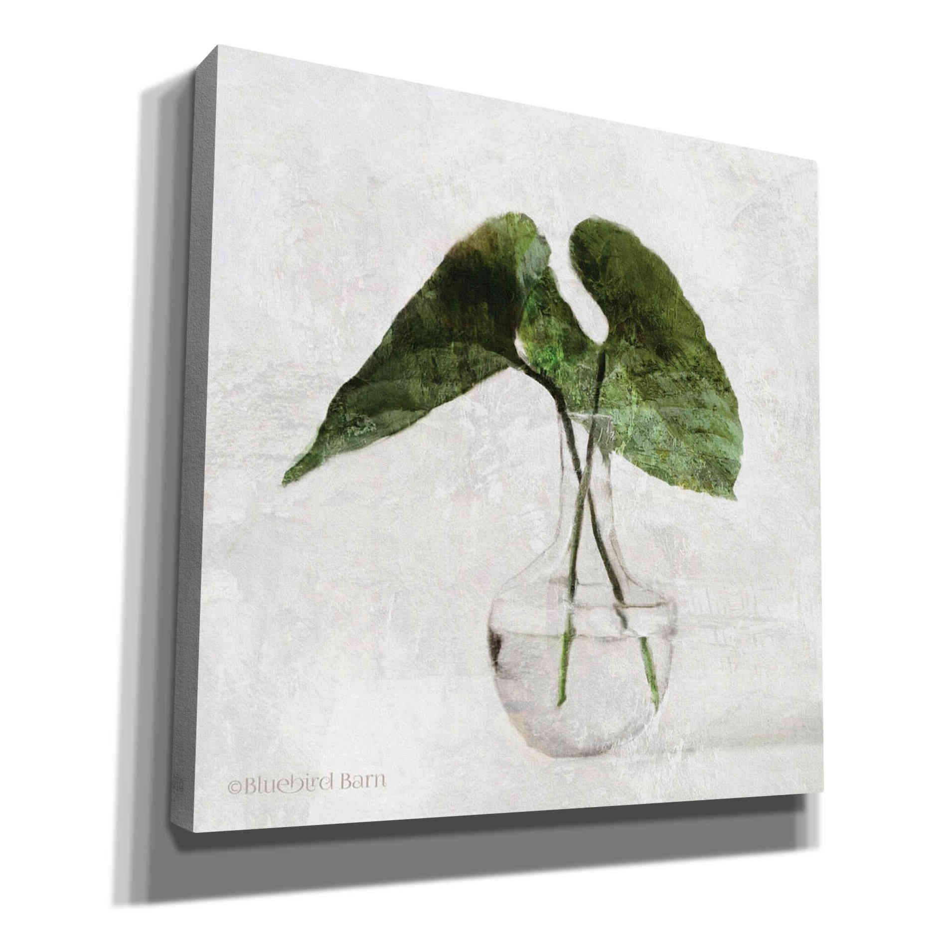 'Stems in Glass' by Bluebird Barn, Canvas Wall Art,Size 1 Sqaure