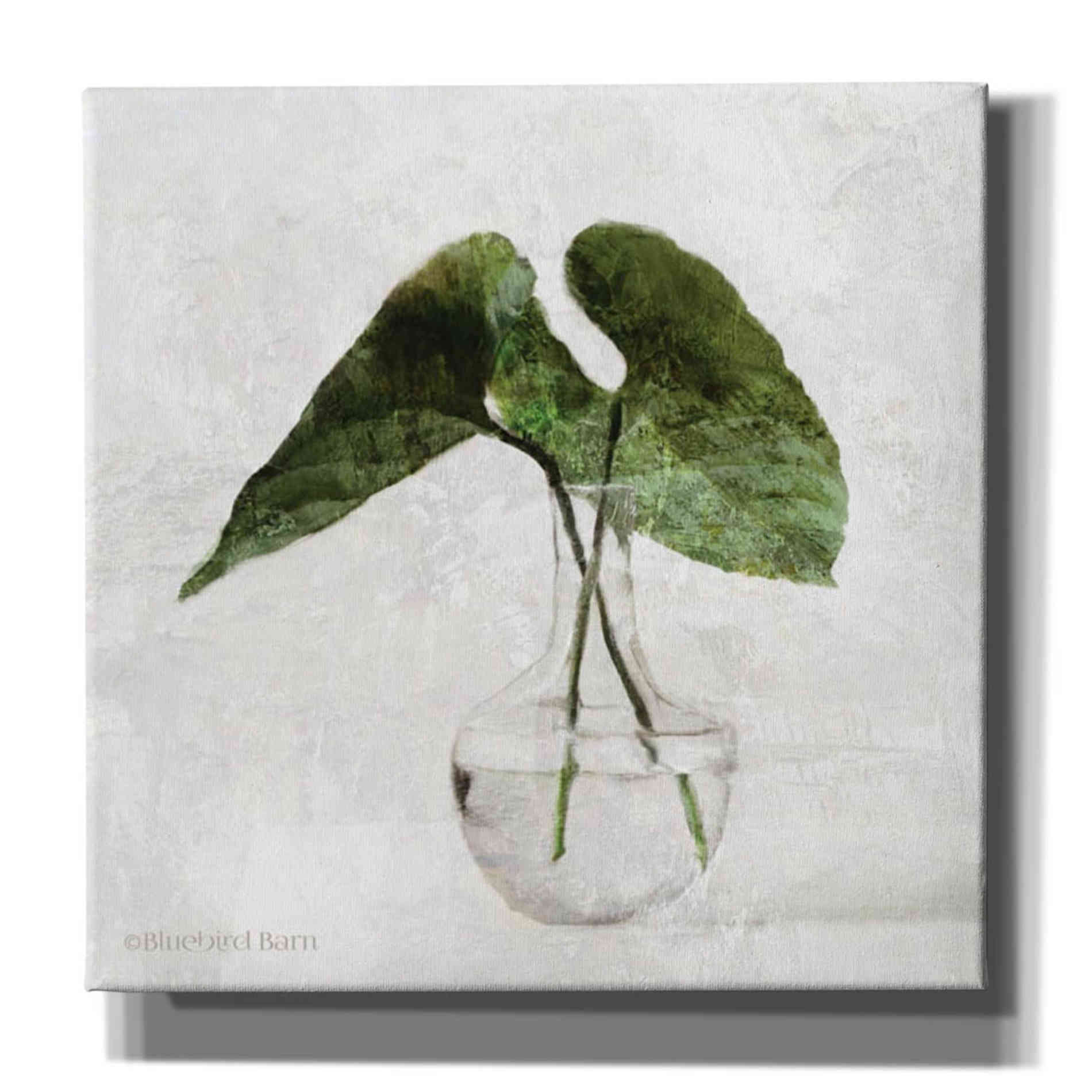 'Stems in Glass' by Bluebird Barn, Canvas Wall Art,Size 1 Sqaure