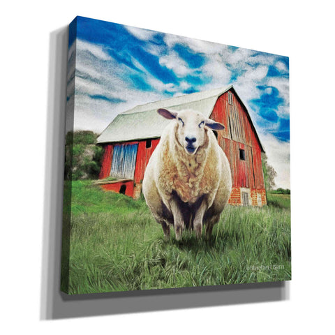 Image of 'Sunday Afternoon Sheep Pose' by Bluebird Barn, Canvas Wall Art,Size 1 Sqaure