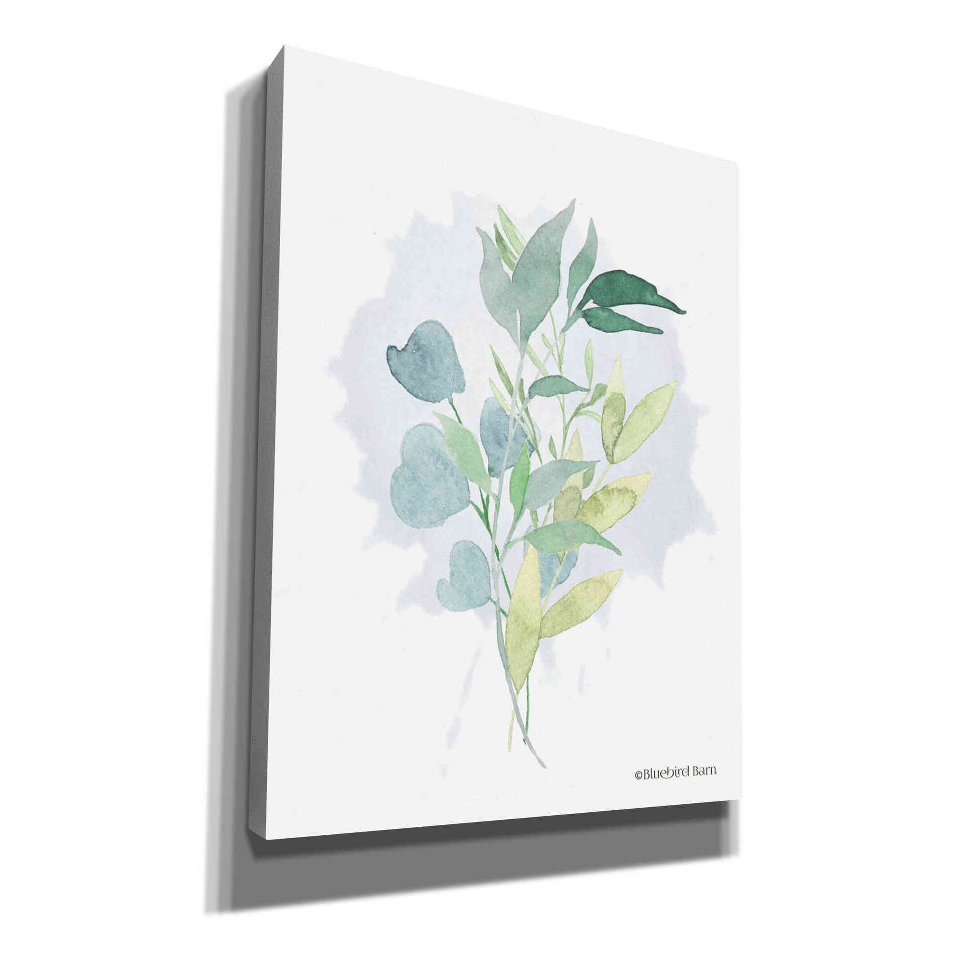 'Watercolor Greenery Series II' by Bluebird Barn, Canvas Wall Art,Size B Portrait