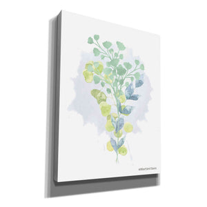 'Watercolor Greenery Series I' by Bluebird Barn, Canvas Wall Art,Size B Portrait