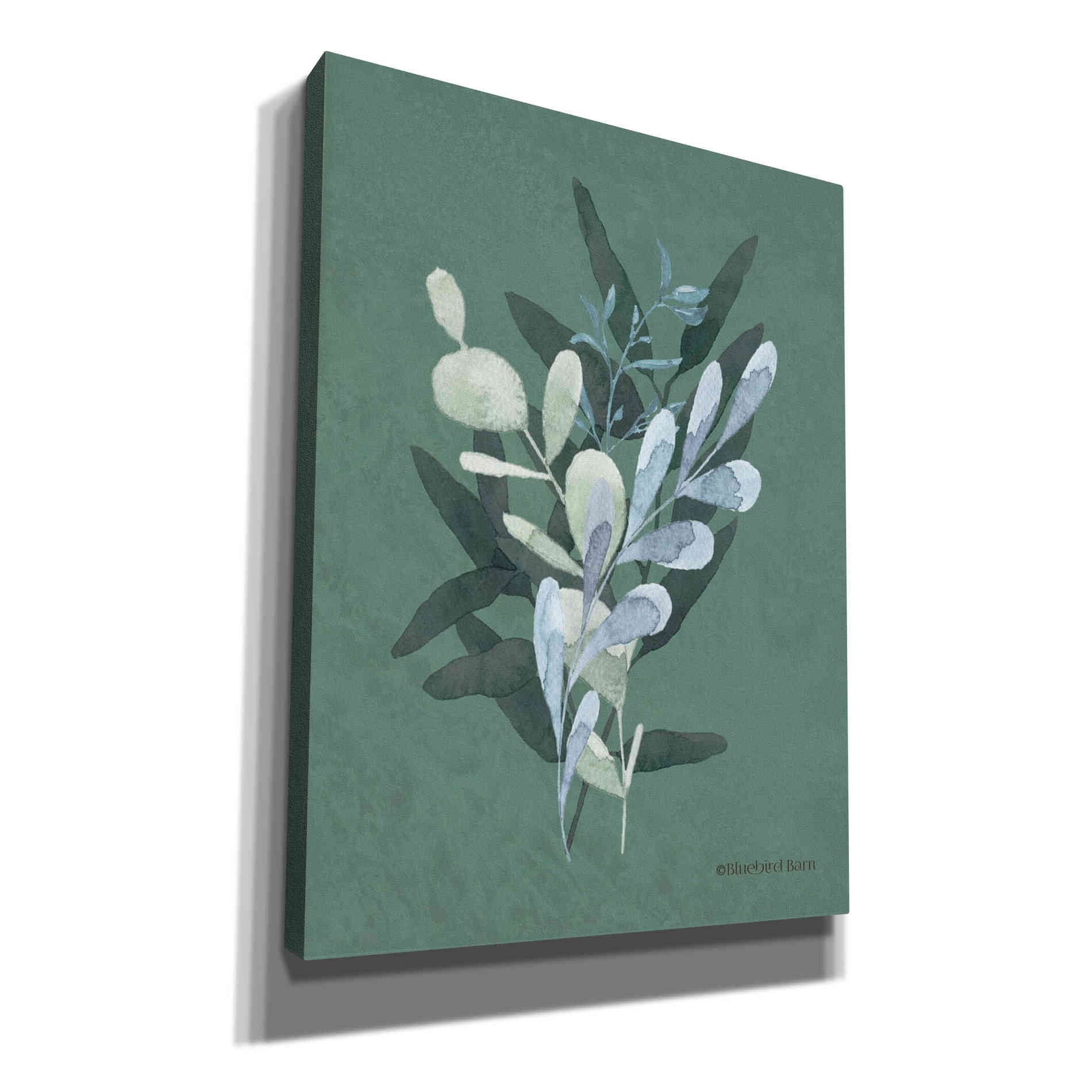 'Watercolor Greenery Series Dark II' by Bluebird Barn, Canvas Wall Art,Size B Portrait