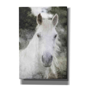 'White Horse Mystique' by Bluebird Barn, Canvas Wall Art,Size A Portrait