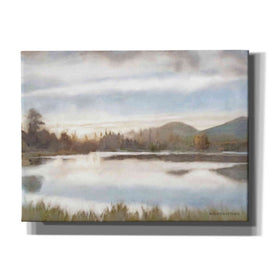 'Lakeview Sunset Landscape' by Bluebird Barn, Canvas Wall Art,Size C Landscape
