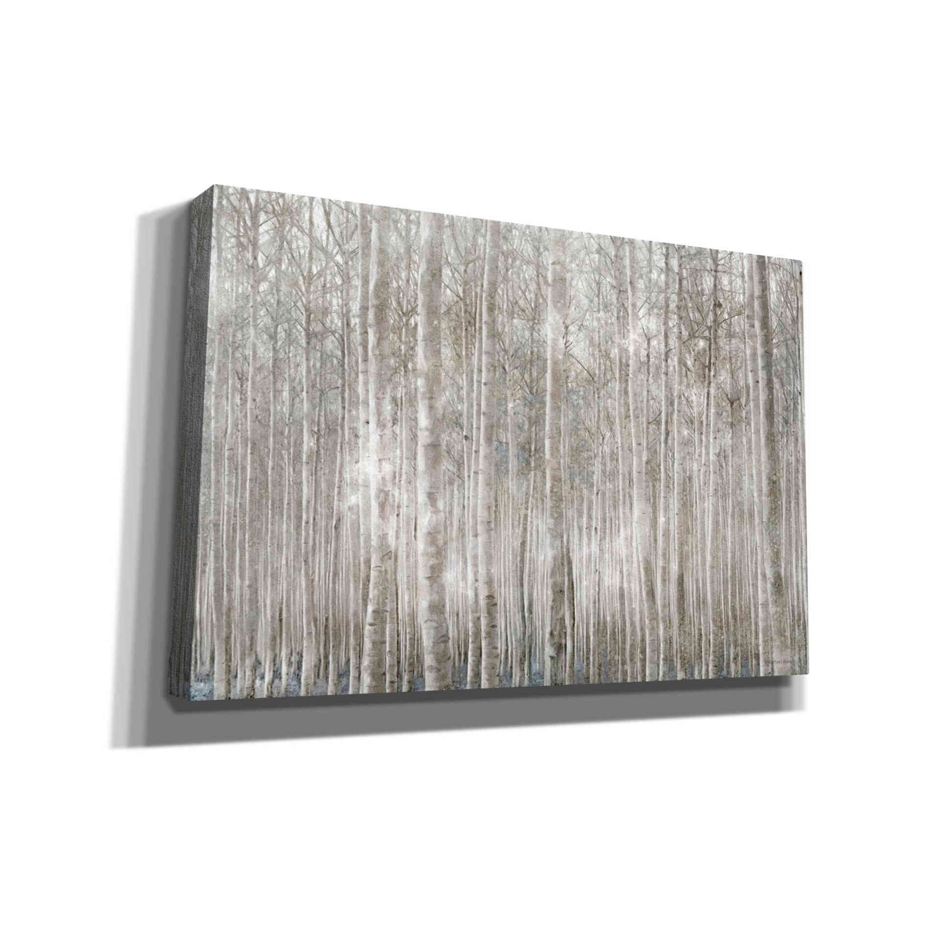 'Birch Trees' by Bluebird Barn, Canvas Wall Art,Size A Landscape