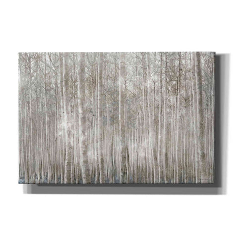 Image of 'Birch Trees' by Bluebird Barn, Canvas Wall Art,Size A Landscape