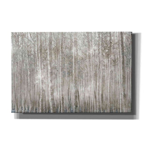 'Birch Trees' by Bluebird Barn, Canvas Wall Art,Size A Landscape