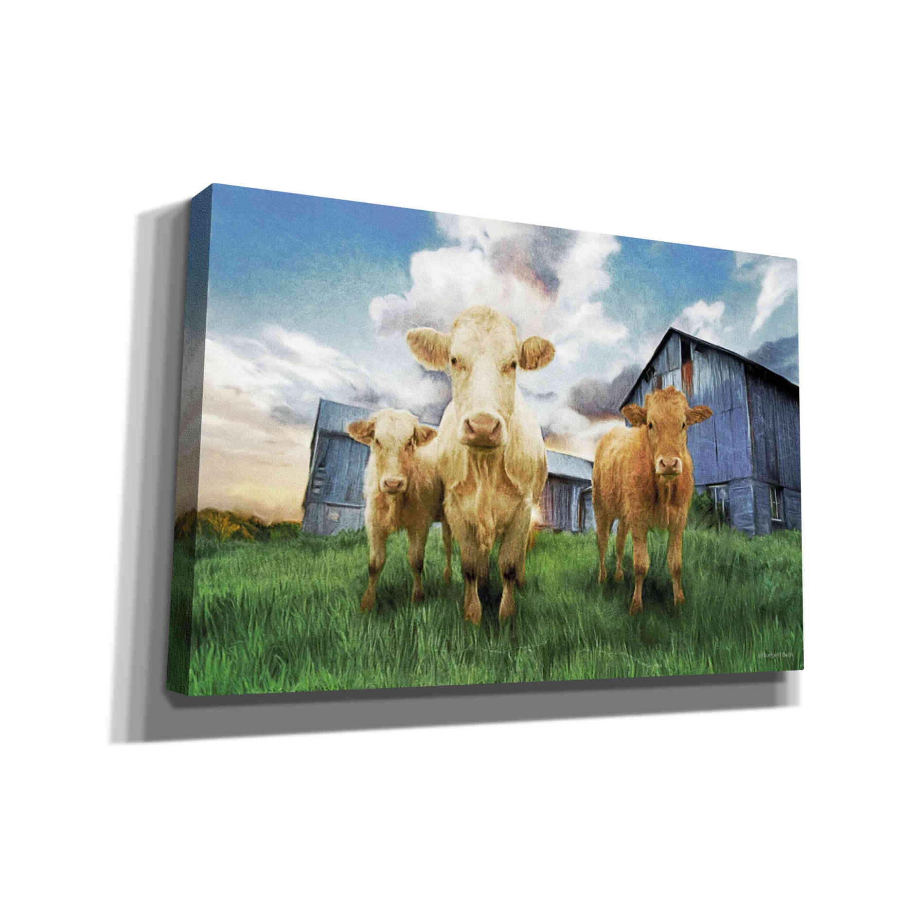 'Three Curious Calves' by Bluebird Barn, Canvas Wall Art,Size A Landscape