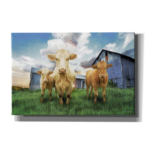 Image of 'Three Curious Calves' by Bluebird Barn, Canvas Wall Art,Size A Landscape