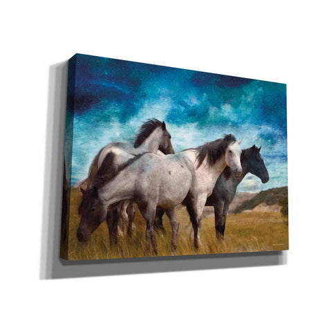 Image of 'Starry Night Horse Herd' by Bluebird Barn, Canvas Wall Art,Size B Landscape