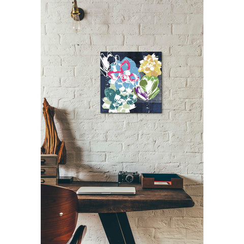 Image of 'Colorful Succulents II' by Linda Woods, Canvas Wall Art,12 x 12
