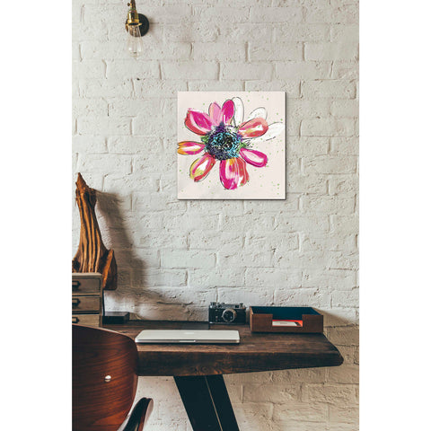 Image of 'Colorful Daisy' by Linda Woods, Canvas Wall Art,12 x 12