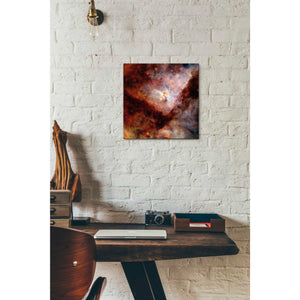 'Dark Nebulae' Hubble Space Telescope Canvas Wall Art,12 x 12