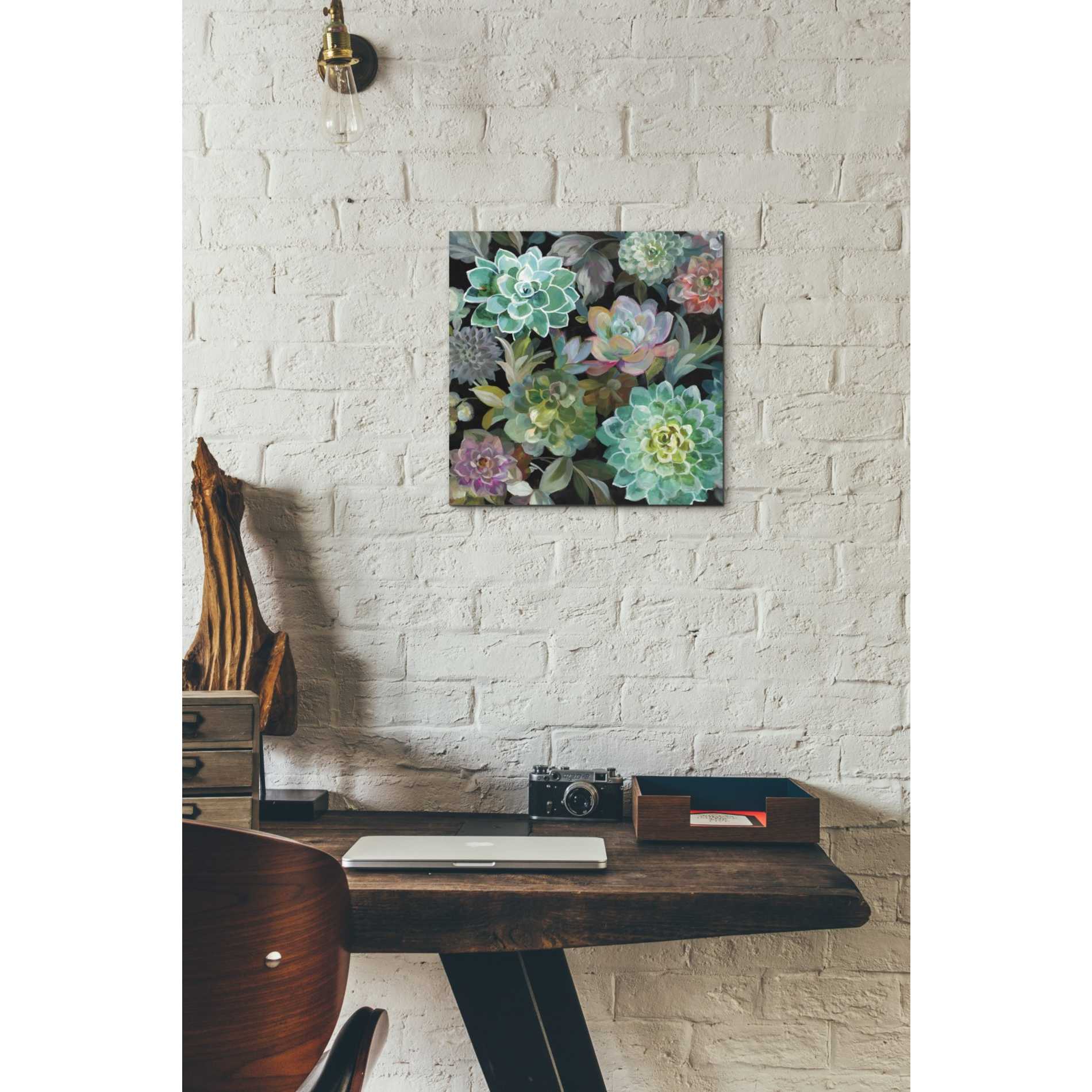 'Floral Succulents v2 Crop' by Danhui Nai, Canvas Wall Art,12 x 12